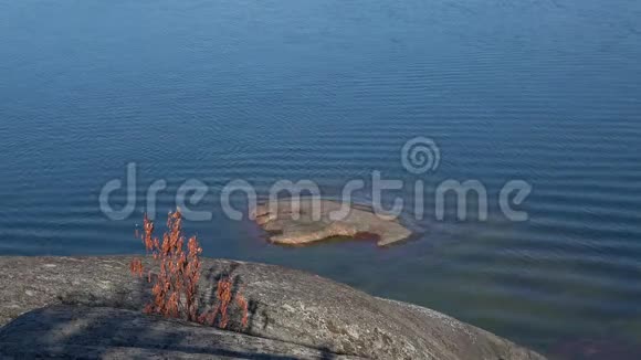 在芬兰海湾岸边芬兰汉口视频的预览图