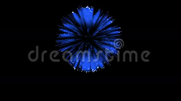 色彩斑斓的单根烟火在夜晚壮观的单一烟花3D渲染蓝色版本42视频的预览图