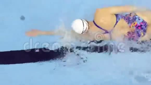 专业游泳女子游泳池训练视频的预览图