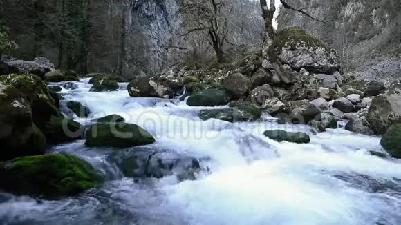山溪水波荡漾水面视频的预览图