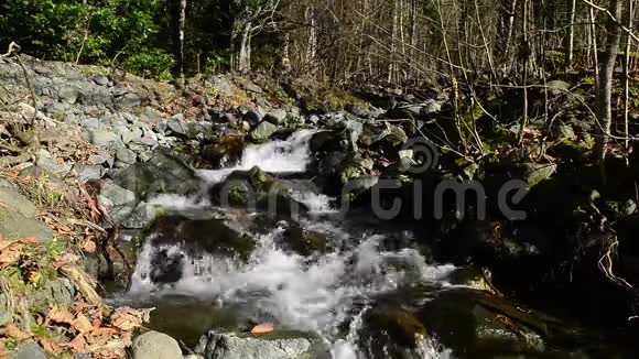山溪水波荡漾水面视频的预览图