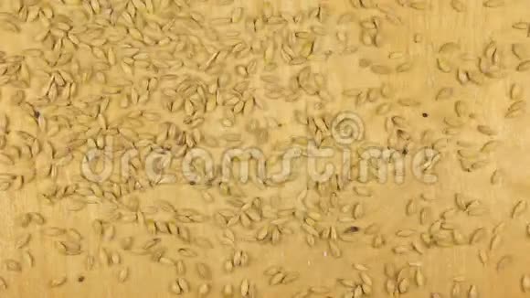 大麦落在木制背景上视频的预览图