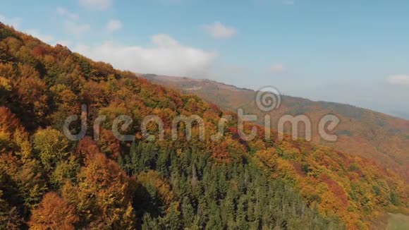 鸟瞰秋林喀尔巴阡山脉的橙山视频的预览图