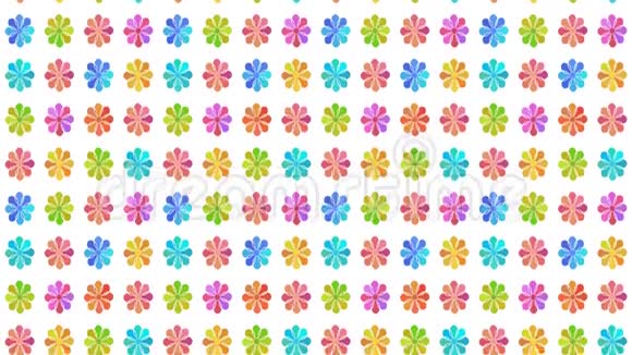 滚动五颜六色的花朵壁纸可循环动画视频的预览图