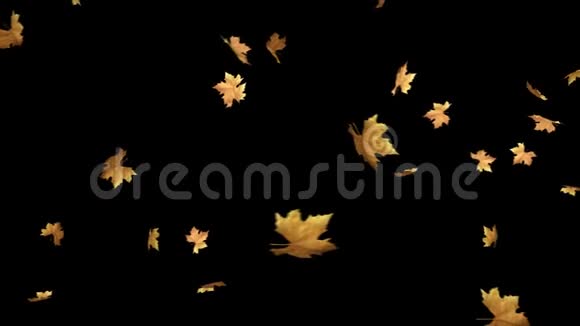 秋天的叶子掉落带有alpha通道环夹可以使用此剪辑作为背景或覆盖在您的图像视频项目视频的预览图