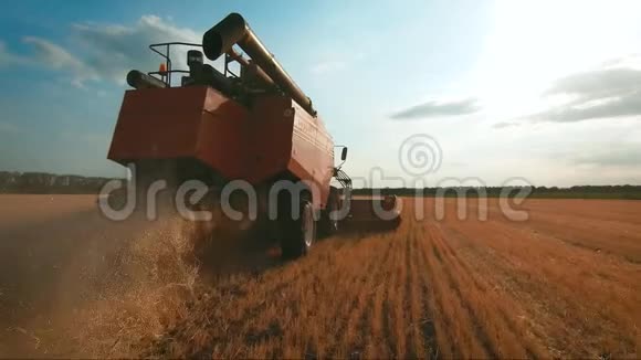 联合收割机收割小麦小麦收获剪领域的组合食品行业理念视频的预览图