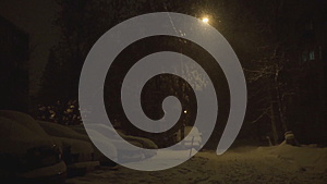 夜晚点亮灯笼冬天下雪视频的预览图