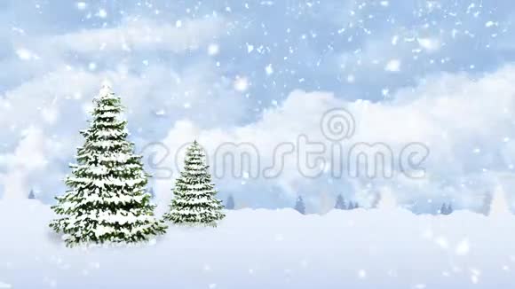 雪天的松树视频的预览图
