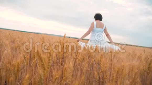 加上大小时尚模特在慢动作视频行走白色连衣裙在田间小麦肥胖的生活方式女人在大自然中视频的预览图