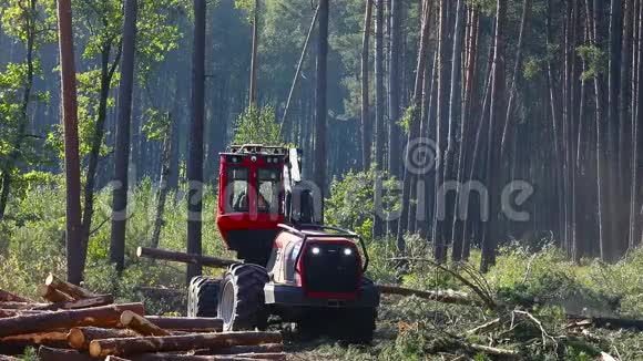 伐木机的操作伐木机的生产视频的预览图