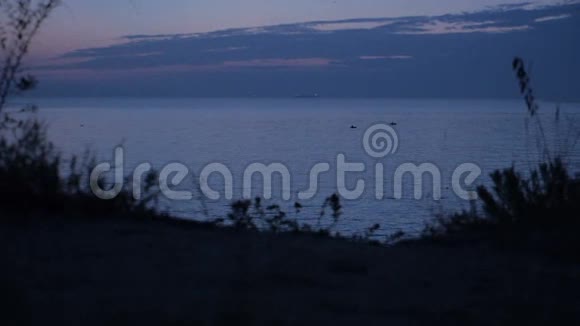 清晨海面上日出鸟儿在那里飞翔视频的预览图