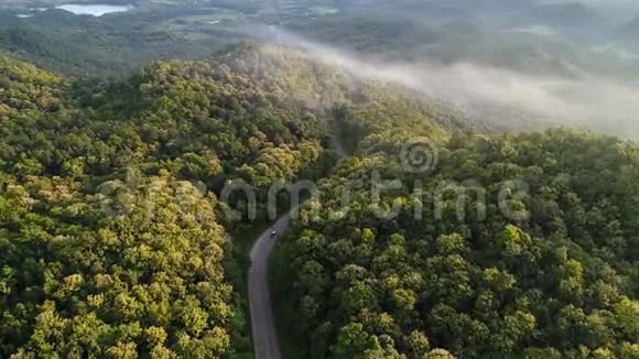 山上的森林视频的预览图