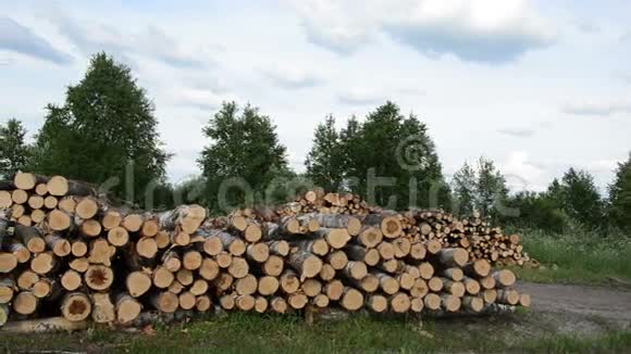 木材燃料原木堆视频的预览图