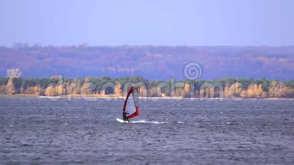 一个男运动员对风帆运动很感兴趣在秋天的一天他在一个大湖上的帆板上移动视频的预览图