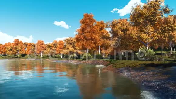 秋天的风景有风景优美的树木和森林湖视频的预览图