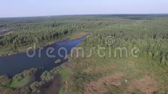 飞过湖面和森林航空测量视频的预览图
