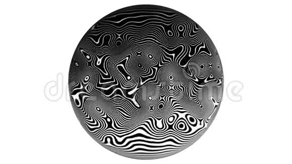 斑马线图案运动动画背景4k在白色背景上在一个圆圈里循环卷曲过渡视频的预览图