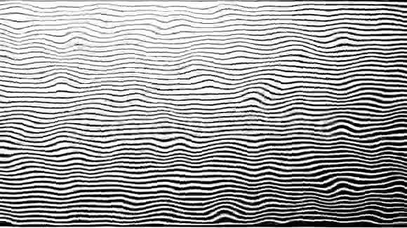 斑马线图案运动动画背景4k在白色背景上在一个圆圈里波浪黑白变形视频的预览图