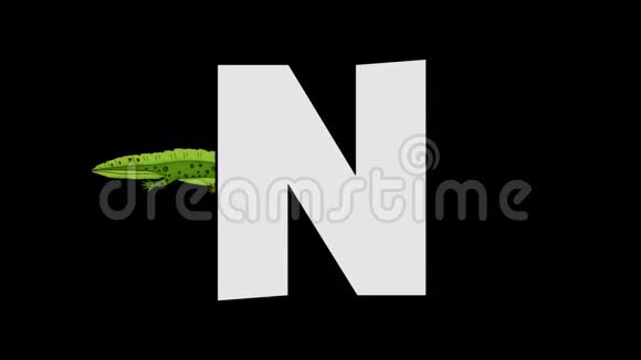 字母N和Newt背景视频的预览图