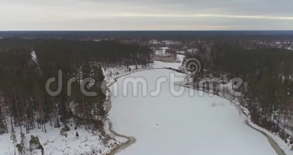空中飞行在冰冻的河流与冰松林之间视频的预览图