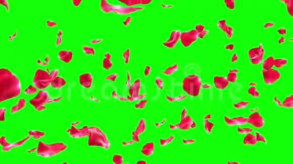 落在绿网上的玫瑰花瓣x28循环x29视频的预览图
