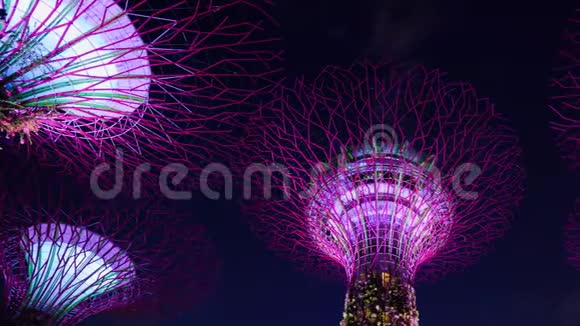 新加坡海湾边的花园时间流逝光线充足视频的预览图