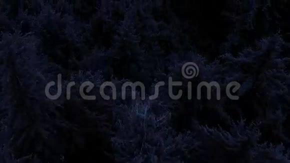 夜间飞越森林视频的预览图