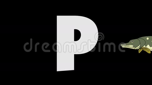 字母P和派克背景视频的预览图