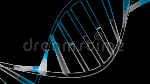 3DNA编码DNA链脱氧核糖核酸视频的预览图