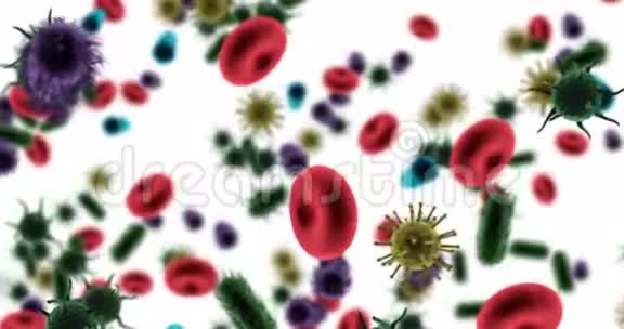白色背景下产生的病毒细胞红细胞和细菌视频的预览图