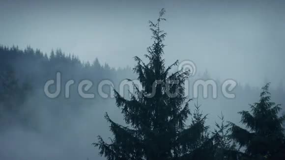 薄雾笼罩着山边的树木视频的预览图