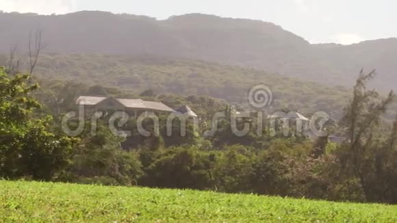 牙买加山地边热带天堂视频的预览图