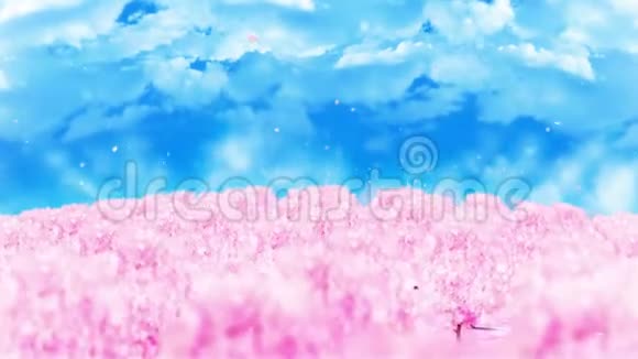 春天森林景观插图抽象自然背景樱花环动画视频的预览图