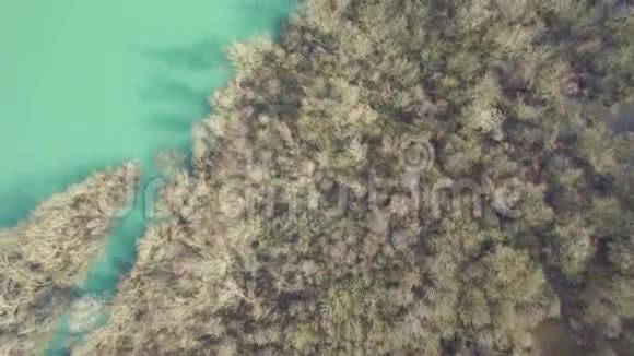 莫拉卡河的空中景观流入美丽的大斯卡达湖视频的预览图
