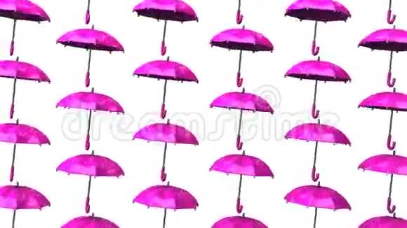 粉红伞视频的预览图