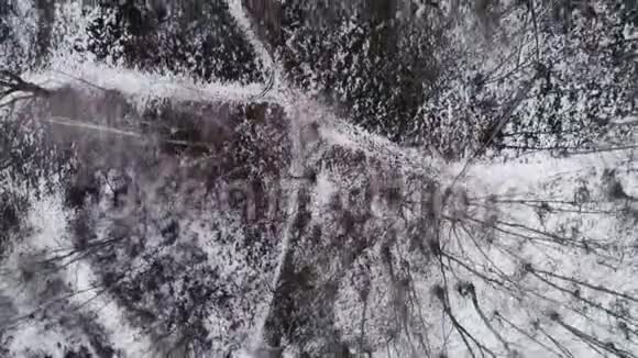 空中无人驾驶飞机在白雪皑皑的森林森林上空飞行户外山地自然的冬季雪直接向下视频的预览图