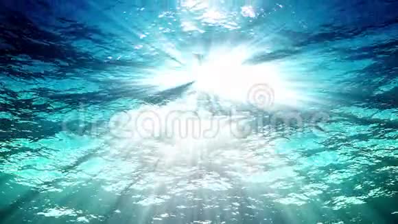 来自水下浮游生物的海浪高质量循环动画光线透过伟大的海洋视频的预览图