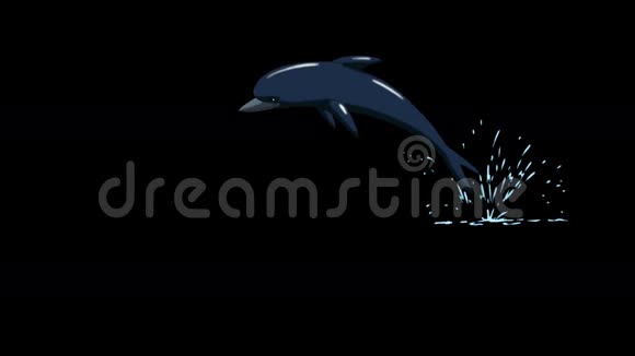 海豚跳出水面正面观点视频的预览图