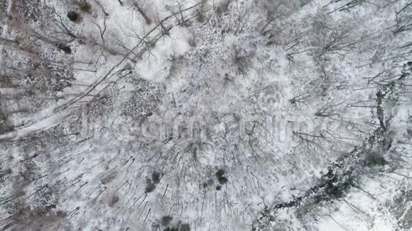空中无人驾驶飞机在白雪皑皑的森林森林上空飞行户外山地自然的冬季雪直接向下视频的预览图