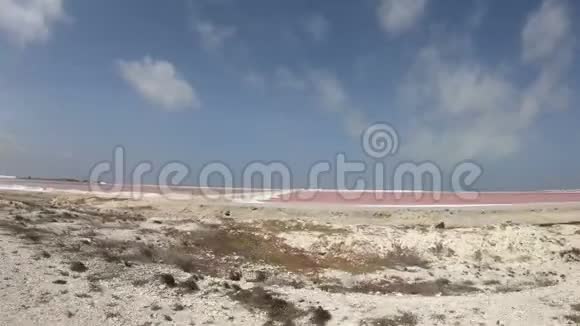 博内尔岛的盐矿开采视频的预览图