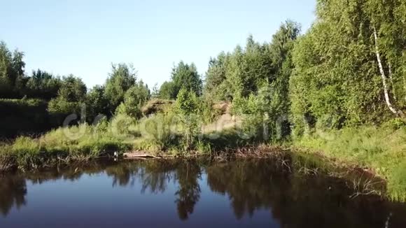 森林田野河流和道路视频的预览图