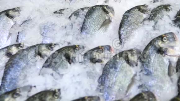食品市场柜台上有新鲜的生海鲜慢动作视频的预览图