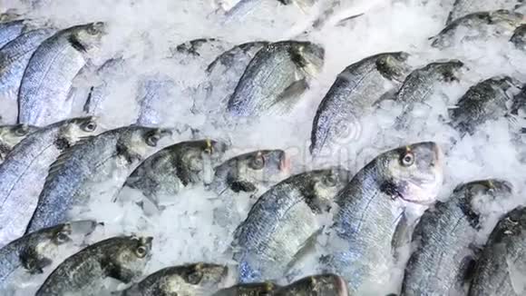 食品市场柜台上有新鲜的生海鲜慢动作视频的预览图