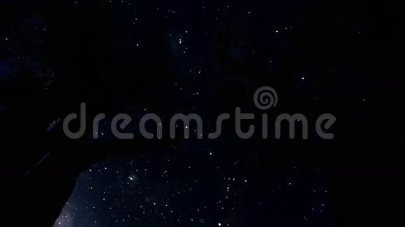 夜晚的树影时光流逝的星空视频的预览图