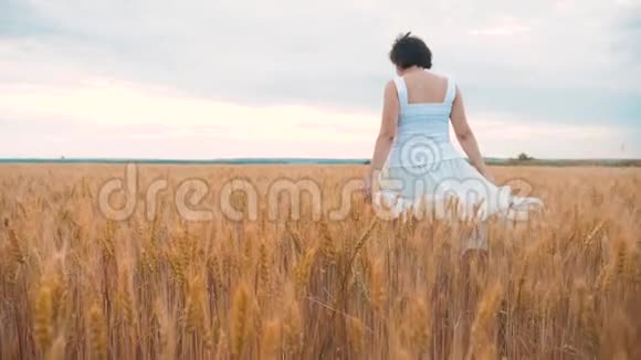 加上大小时尚模特在慢动作视频行走白色连衣裙在田间小麦生活方式胖女人对大自然的影响视频的预览图
