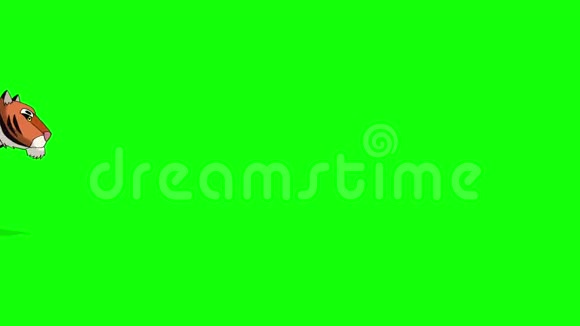 泰格沃克斯绿色屏幕上的动画运动图形视频的预览图