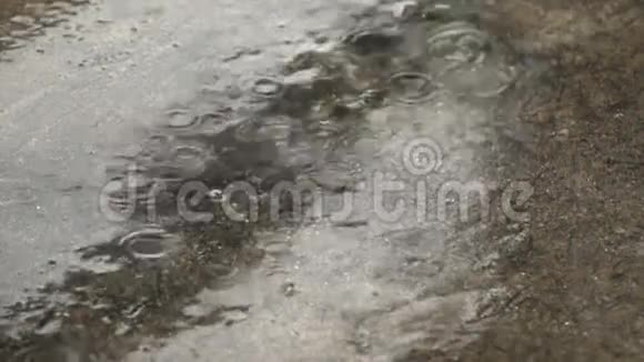 雨滴慢动作视频的预览图