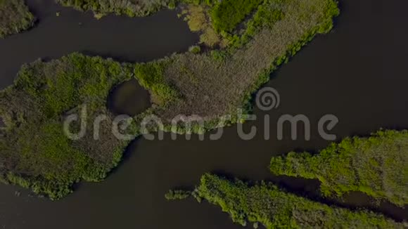 湖的鸟瞰图视频的预览图