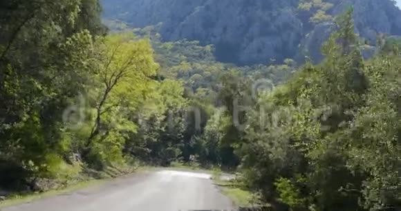 森林道路的景色视频的预览图