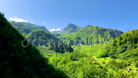 土耳其阿尔特文黑海地区喀尔卡尔山脉的绿色自然景观视频的预览图